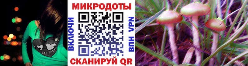 закладки  Нестеровская  Псилоцибиновые грибы GOLDEN TEACHER 